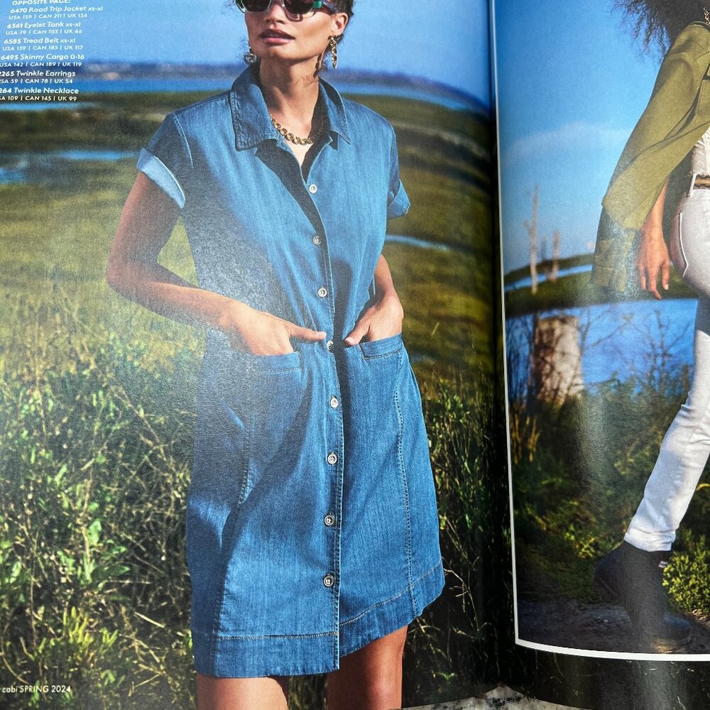 CAbi Piece of Cake Dress